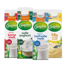 Campina melk, vla* of yoghurt 
